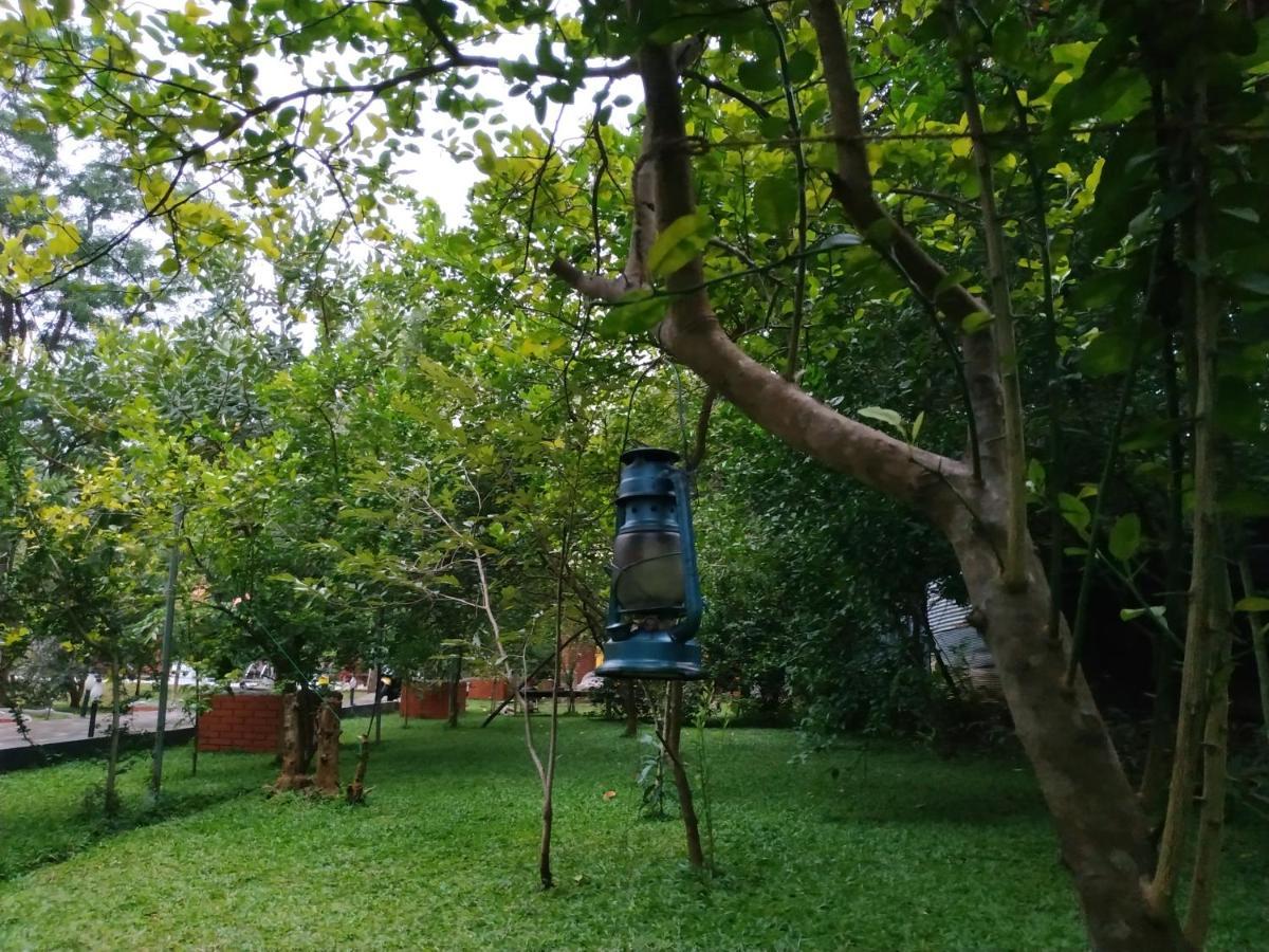 Sigiriya Cashew Palace Resort Daganapothaha Exteriér fotografie